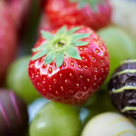 בית הארחה Remise Heiliger פוטסדאם